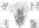 Fig. 01 - ENGINEERED CORONAVIRUS SPIKE (S) PROTEIN AND METHODS OF USE THEREOF