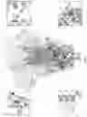 Fig. 02 - ENGINEERED CORONAVIRUS SPIKE (S) PROTEIN AND METHODS OF USE THEREOF