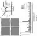 Fig. 04 - ENGINEERED CORONAVIRUS SPIKE (S) PROTEIN AND METHODS OF USE THEREOF