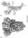 Fig. 08 - ENGINEERED CORONAVIRUS SPIKE (S) PROTEIN AND METHODS OF USE THEREOF