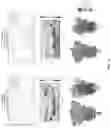Fig. 14 - ENGINEERED CORONAVIRUS SPIKE (S) PROTEIN AND METHODS OF USE THEREOF
