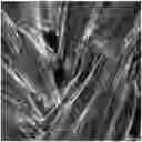 Fig. 01 - ADAS COMPRISING BACTERIAL SECRETION SYSTEMS