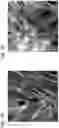 Fig. 02 - ADAS COMPRISING BACTERIAL SECRETION SYSTEMS