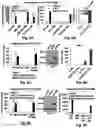 Fig. 09 - STING-DEPENDENT ACTIVATORS FOR TREATMENT OF DISEASE