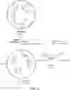 Fig. 04 - Engineered Bacterial Strain and Method of Use for One-Pot Vitamin C Synthesis