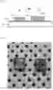 Fig. 02 - HYDROGEN DETECTING SENSOR AND METHOD OF MANUFACTURING THE SAME
