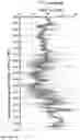 Fig. 22 - STRATIGRAPHIC METHODS