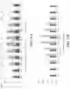 Fig. 12 - RENEWABLE ENERGY SYSTEM WITH TUNABLE VARIABILITY