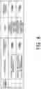 Fig. 09 - Optical transmission system and optical transmission method