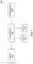 Fig. 09 - TRANSPORT CABLE REDUNDANCY IN A DISTRIBUTED ANTENNA SYSTEM USING DIGITAL TRANSPORT