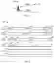 Fig. 02 - Method and device for performing communication