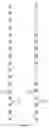 Fig. 04 - Methods and apparatuses for reference signal transmission