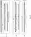 Fig. 06 - METHODS AND APPARATUSES FOR ENHANCED CSI REPORTING WITH RESPECT TO MULTIPLE DOWNLINK
