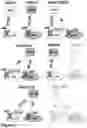Fig. 02 - FIRST NODE, SECOND NODE AND METHODS PERFORMED THEREBY FOR HANDLING TRANSMISSIONS IN A COMMUNICATIONS NETWORK