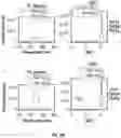 Fig. 06 - Composite Materials, Devices, and Methods of Encapsulating Perovskites