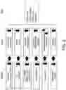 Fig. 05 - Pet Food Compositions