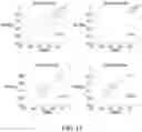 Fig. 13 - Method of determining brain activity and electronic device performing the method
