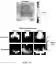 Fig. 15 - Method of determining brain activity and electronic device performing the method