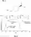 Fig. 02 - CONCENTRATED INJECTABLE TRANEXAMIC ACID COMPOSITIONS AND METHODS OF USE THEREOF