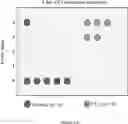 Fig. 35 - NOVEL BIOENERGETIC/ANTI INFLAMMATORY THERAPY