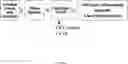 Fig. 41 - NOVEL BIOENERGETIC/ANTI INFLAMMATORY THERAPY