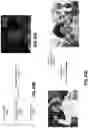 Fig. 211 - Updating game NFTS based on authenticated game play
