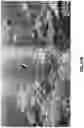 Fig. 96 - Updating game NFTS based on authenticated game play