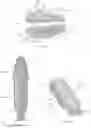 Fig. 10 - Model rockets with divisible nose cones