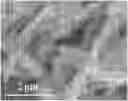 Fig. 01 - Z-type heterojunction composite material of tungsten oxide nanorod/titanium carbide quantum dot/indium sulfide nanosheet, preparation method therefor and application thereof