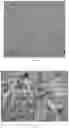 Fig. 02 - Z-type heterojunction composite material of tungsten oxide nanorod/titanium carbide quantum dot/indium sulfide nanosheet, preparation method therefor and application thereof