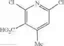Fig. 167 - Process for synthesis of quinazoline compounds