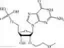 Fig. 197 - MODIFIED mRNA 5'-CAP ANALOGS