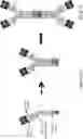 Fig. 167 - MULTIMERS FOR VIRAL STRAIN EVOLUTION