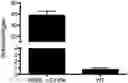 Fig. 01 - Compositions and Methods for Modulating Factor IX Function