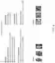 Fig. 09 - Pervasive advisor for major expenditures