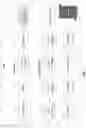 Fig. 02 - OUTPUTTING WARPED IMAGES FROM CAPTURED VIDEO DATA