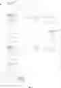 Fig. 07 - TECHNIQUE FOR IDENTIFYING A CONTAINER AND VERIFYING HUMAN-READABLE INFORMATION