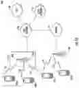 Fig. 02 - Physical (PHY) layer solutions to support use of mixed numerologies in the same channel