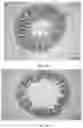 Fig. 02 - FEED ADDITIVE FOR IMPROVING INTESTINAL STRUCTURE OF LARIMICHTHYS CROCEA, FEED, AND USE