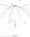 Fig. 03 - Wind-Resistance Reducing Canopy Structure for Umbrella