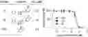 Fig. 01 - 3-(Hydroxy)-Pyridin-4(1H)-One Compounds and Methods of Making and Using the Same