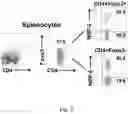 Fig. 08 - METHODS AND COMPOSITIONS FOR IMMUNOMODULATION