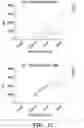 Fig. 17 - METHODS AND COMPOSITIONS FOR IMMUNOMODULATION