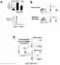 Fig. 26 - METHODS AND COMPOSITIONS FOR IMMUNOMODULATION