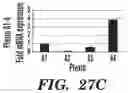 Fig. 28 - METHODS AND COMPOSITIONS FOR IMMUNOMODULATION