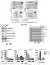 Fig. 29 - METHODS AND COMPOSITIONS FOR IMMUNOMODULATION