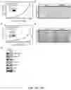 Fig. 36 - METHODS AND COMPOSITIONS FOR IMMUNOMODULATION