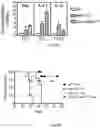 Fig. 43 - METHODS AND COMPOSITIONS FOR IMMUNOMODULATION