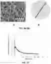 Fig. 09 - ANTIMICROBIAL SILK NANOPARTICLES AND METHODS FOR MAKING AND USING THE SAME