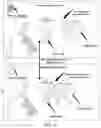 Fig. 09 - AUXILIARY VIRTUAL OBJECT CONTROL IN VIRTUAL SCENE